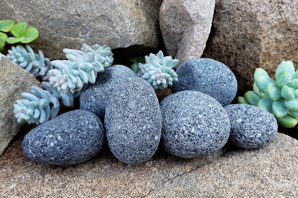 Shoreline Image