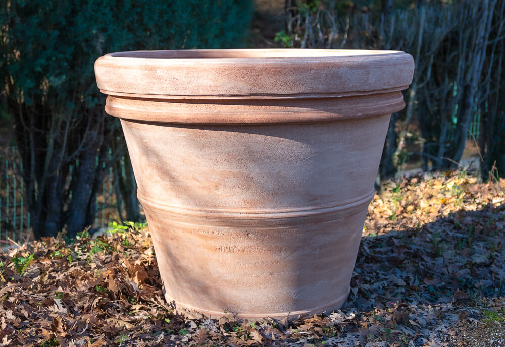 Toscano Image