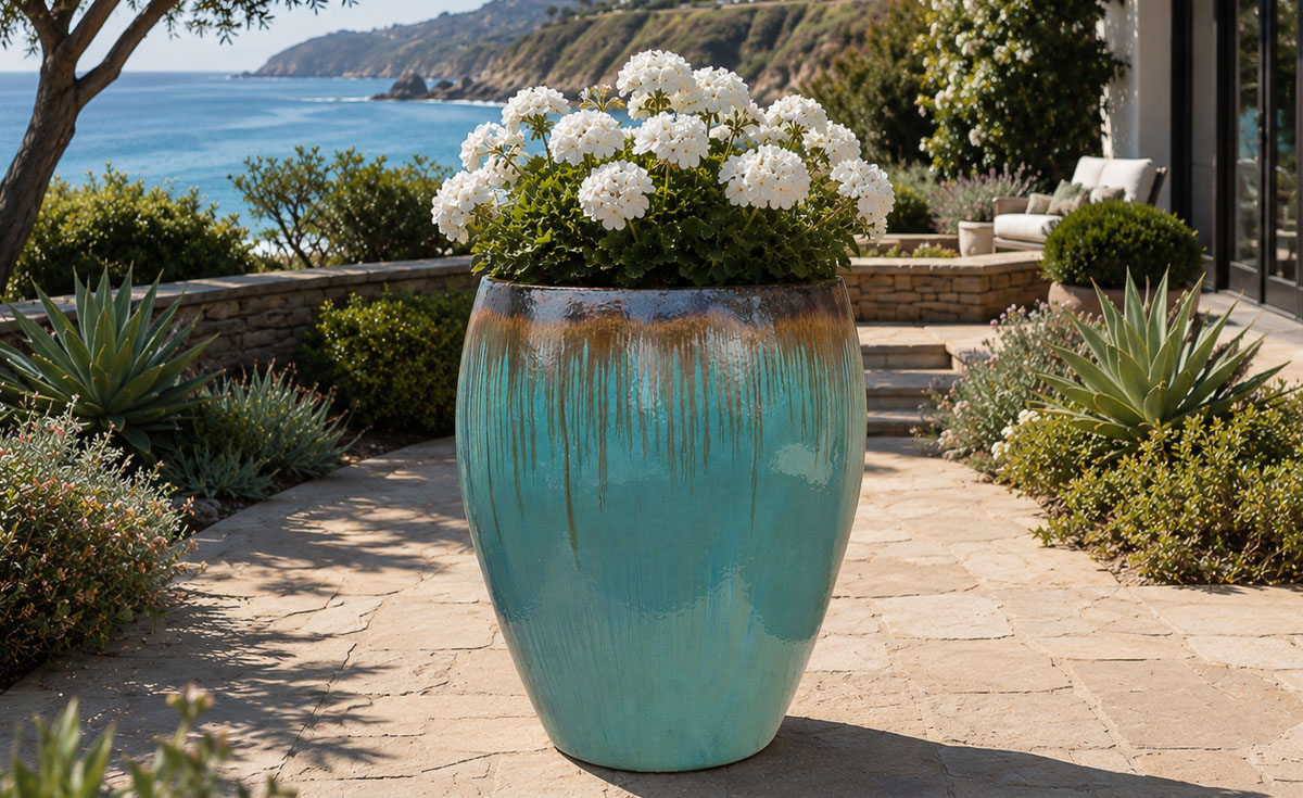 Pacifica Image